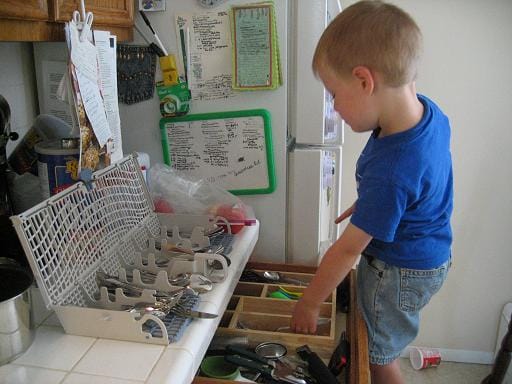 dishwasher helper