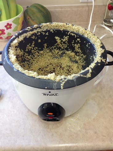 quinoa in rice cooker