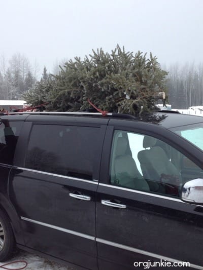 Christmas tree on van