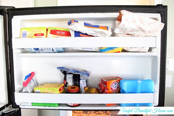 Organizing a Top Freezer Door