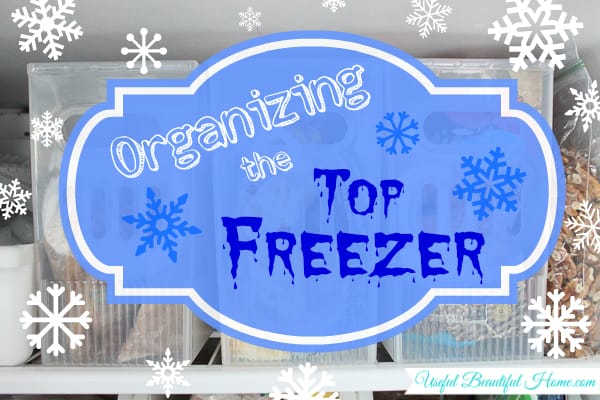 Organizing the Top Freezer at I'm an Organizing Junkie blog