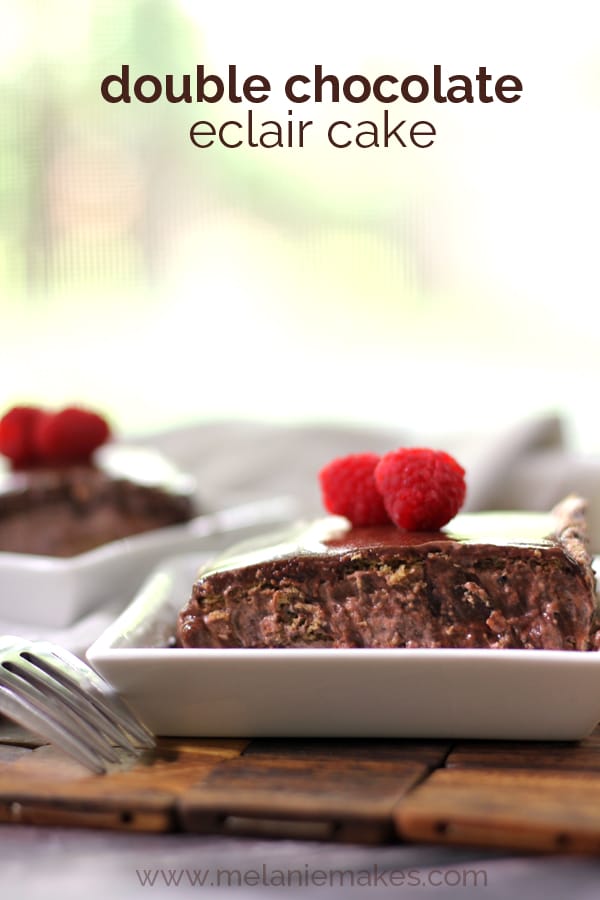 double chocolate eclair cake recipe