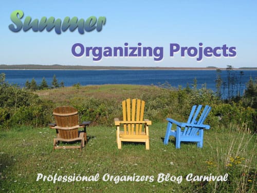 Summer Organizing Projects