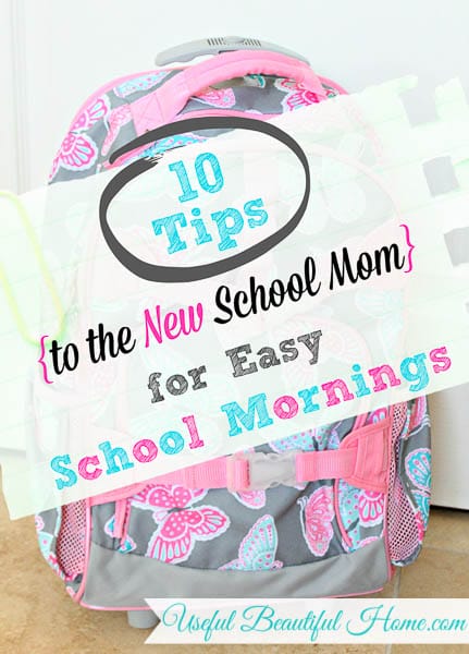 10 Tips for Easy School Mornings at orgjunkie.com