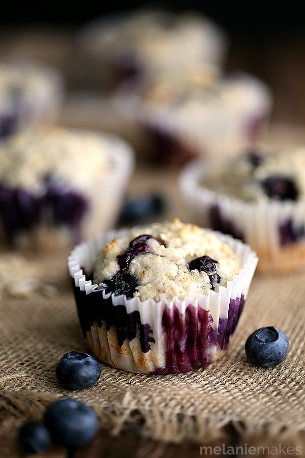 yogurt blueberry oatmeal muffins 6