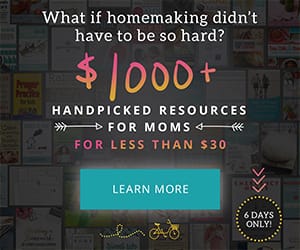 93 Homemaking Ebook Bundle Resources