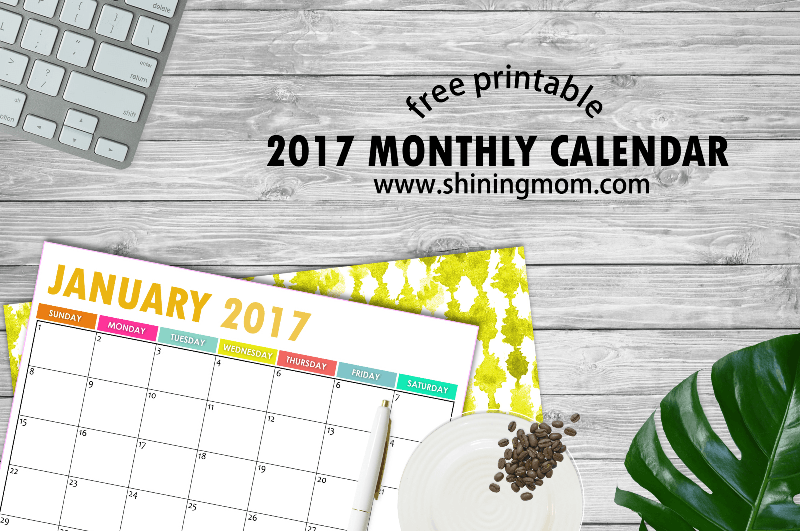 free-printable-2017-calendar-monthly