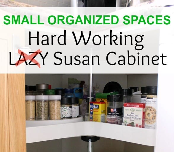 Small Organized Spaces Hard Working Lazy Susan Cabinet for Spices