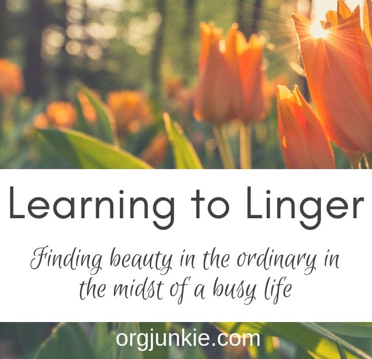 What does linger mean?  Learn English at English, baby!