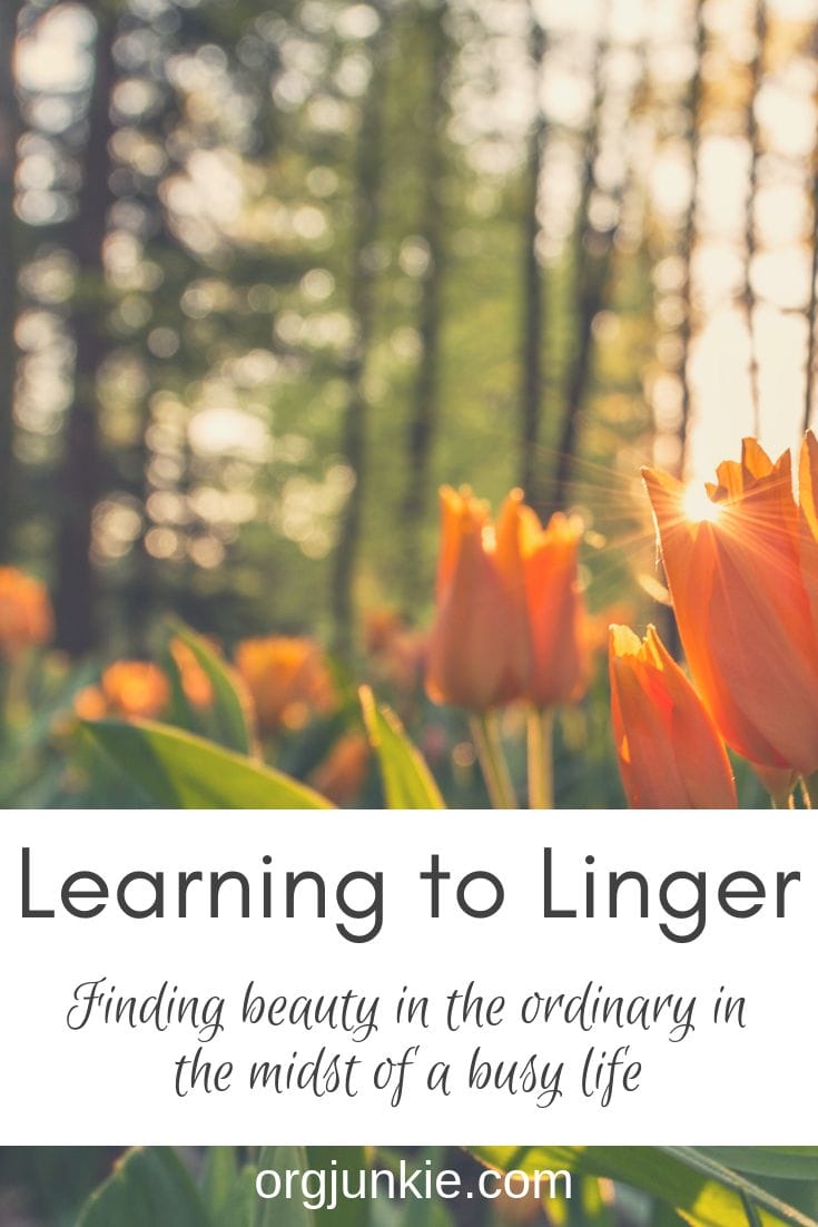 What does Linger mean?, What is Linger ?, Linger meaning in English