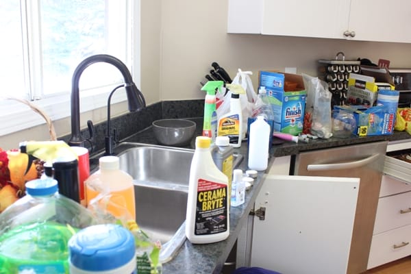 Organizing Underneath the Kitchen Sink on a Budget! at I'm an Organizing Junkie blog