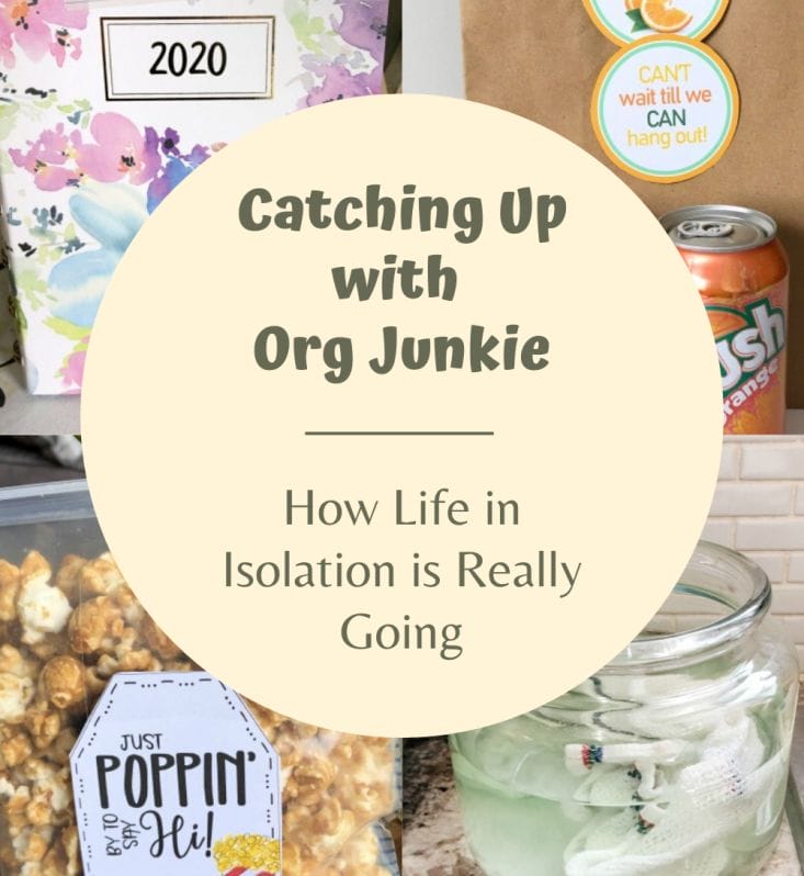 Catching up with Org Junkie in Isolation