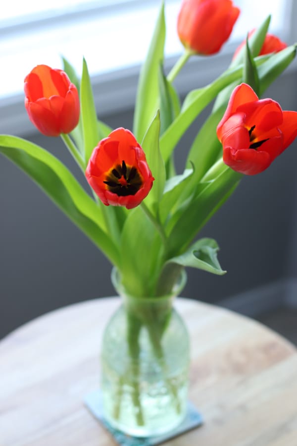 Gorgeous Tulips