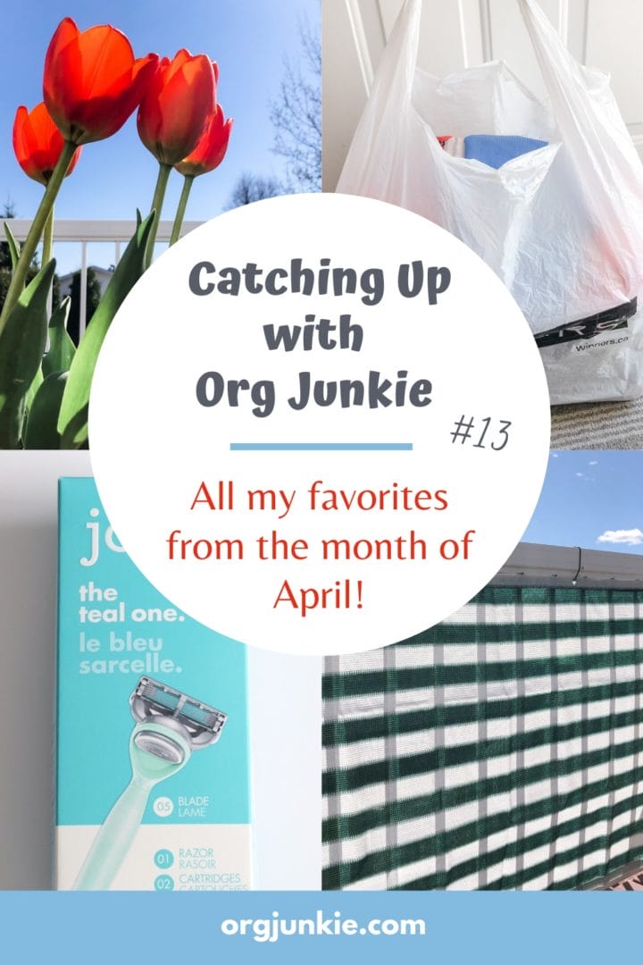 Catching Up with Org Junkie #13 ~ April 2021 Favorites: Privacy Screen, Joy Razers & Magazine Files at I'm an Organizing Junkie blog